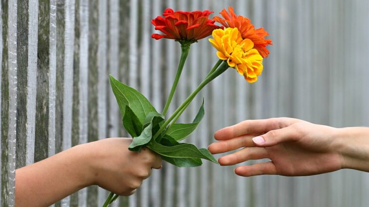 Pift kærlighedslivet i sengen op